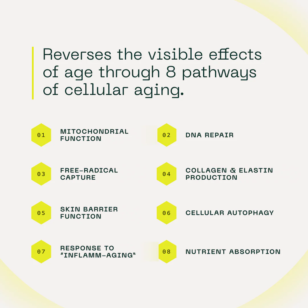 NAD+ Cell Energizing Supplement